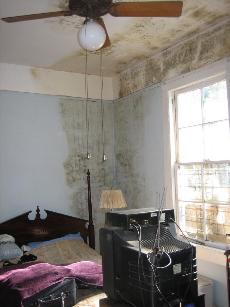 Is It Safe to Sleep in a House with Mold in Boston, MA | ServiceMaster DA