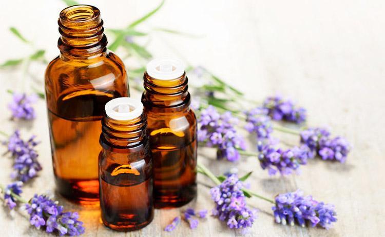 Top 15 Essential Oils for Sleep | AromaWeb