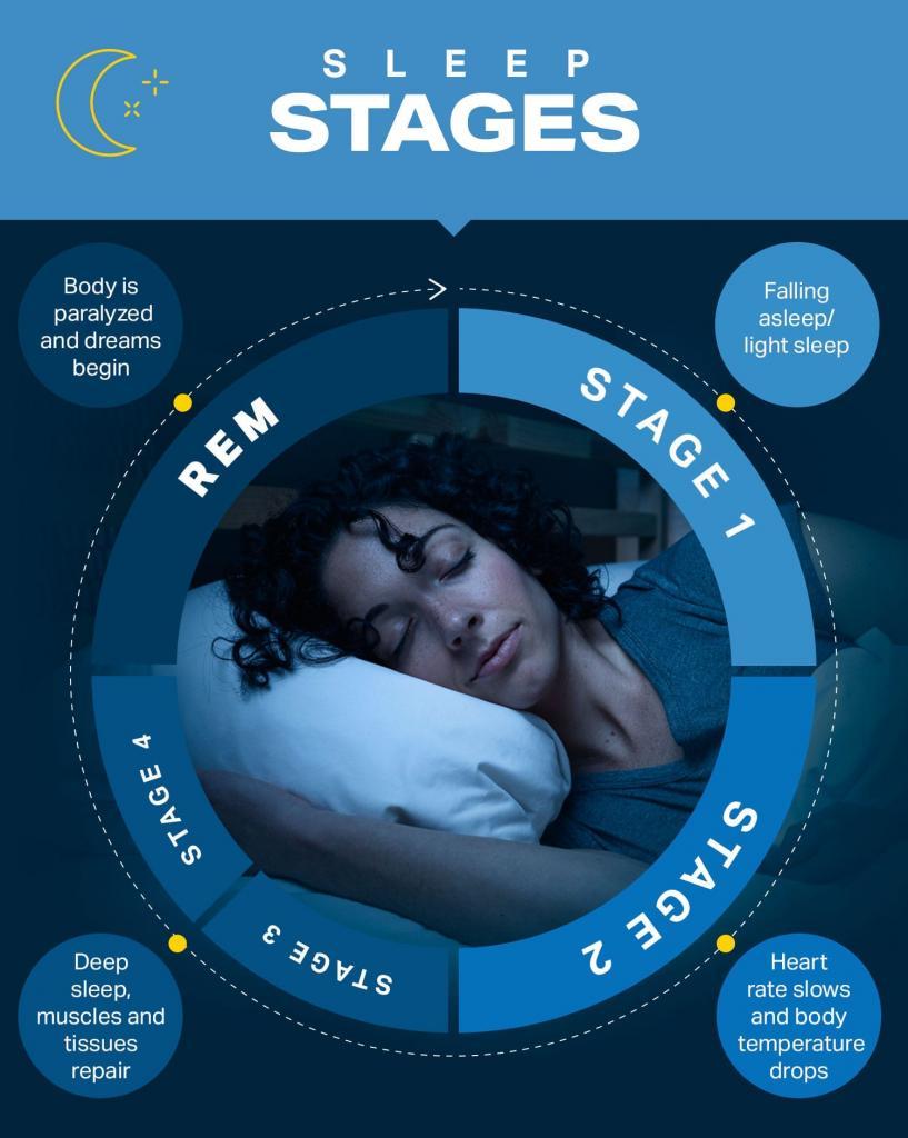 Understanding Sleep Cycles and How to Improve Sleep | Wellness | MyFitnessPal