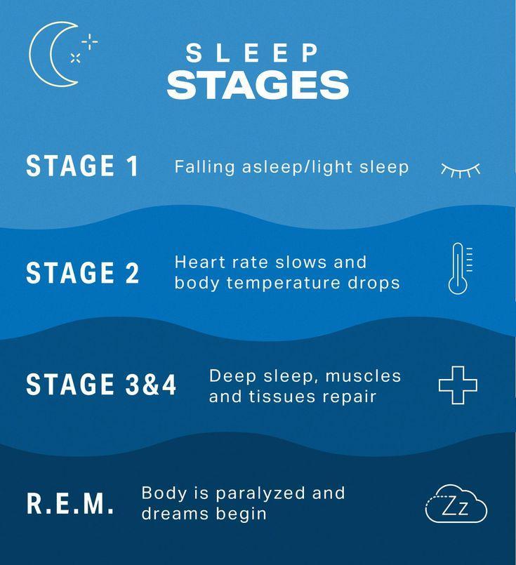 Understanding Sleep Cycles and How to Improve Sleep | Wellness | MyFitnessPal | Sleep therapy, Sleep cycle, Improve sleep