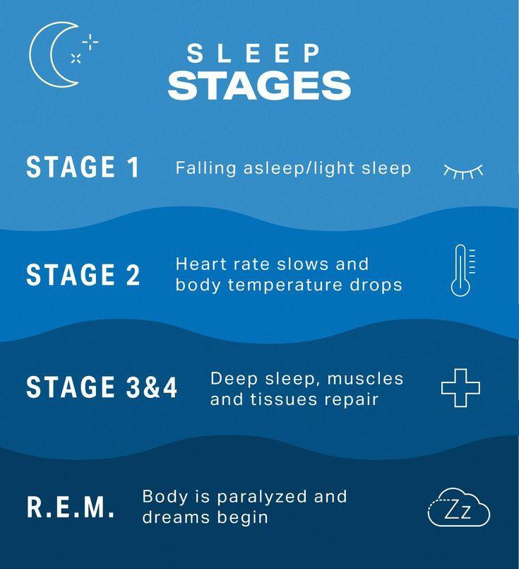 Understanding Sleep Cycles and How to Improve Sleep | Wellness | MyFitnessPal | Sleep therapy, Sleep cycle, Improve sleep