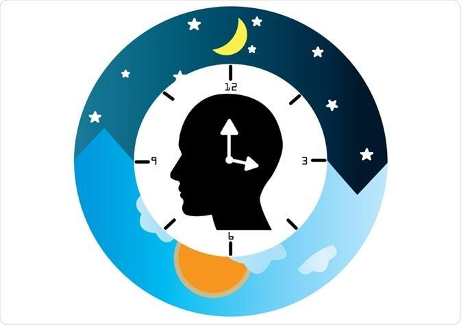 Memory Recall and Circadian Rhythm