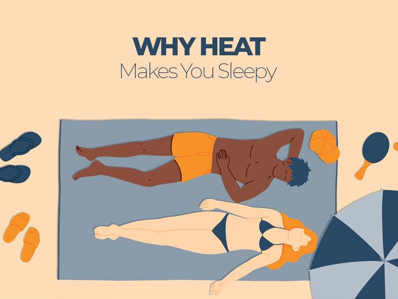 Why Heat Makes You Sleepy? | Is It a Good or a Bad Thing?