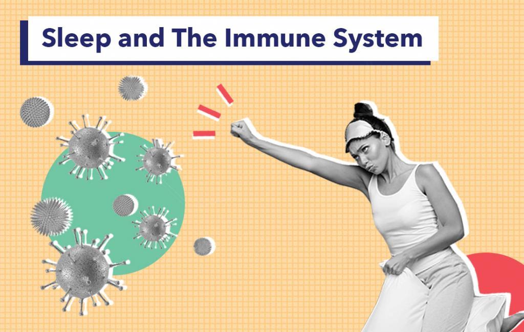Sleep and the Immune System | Sleepopolis