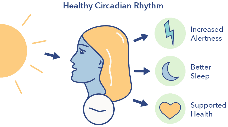 Circadian Rhythm: A Key to Health | Sleepopolis