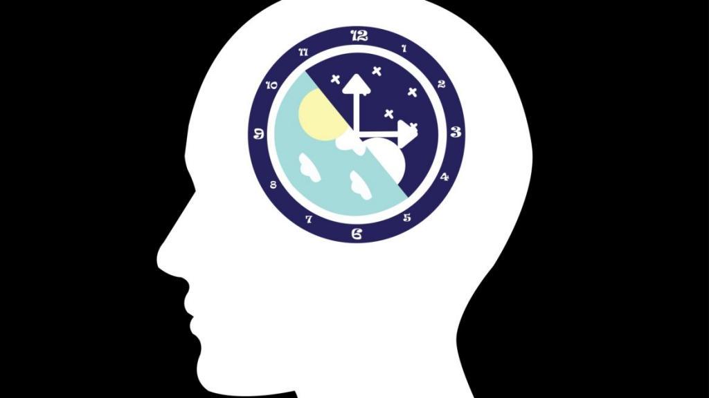 10 things you didn't know about how circadian rhythm affects your health - ISRAEL21c